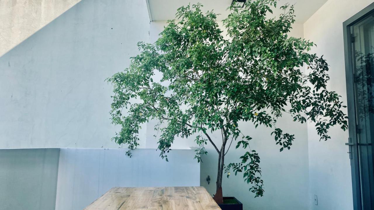 Lalin Home Hotel - Khach San Mini Khu My An Gan Bien 岘港 外观 照片